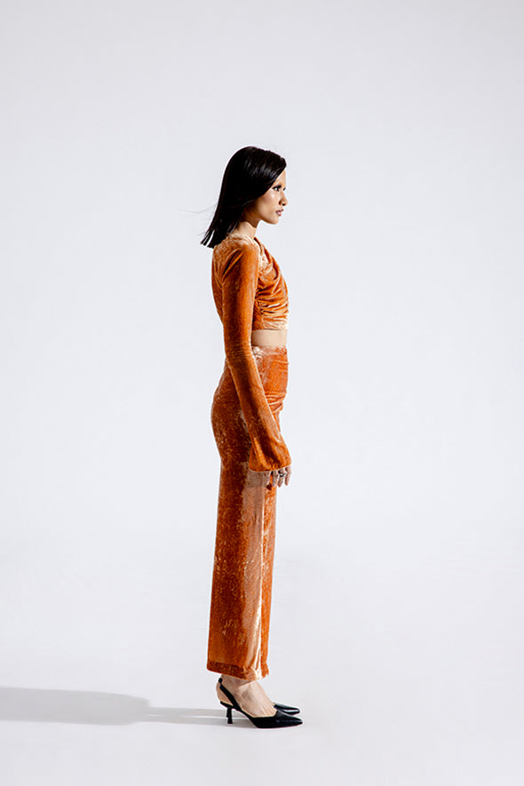 Clara Silk Velvet Skirt in Caramel