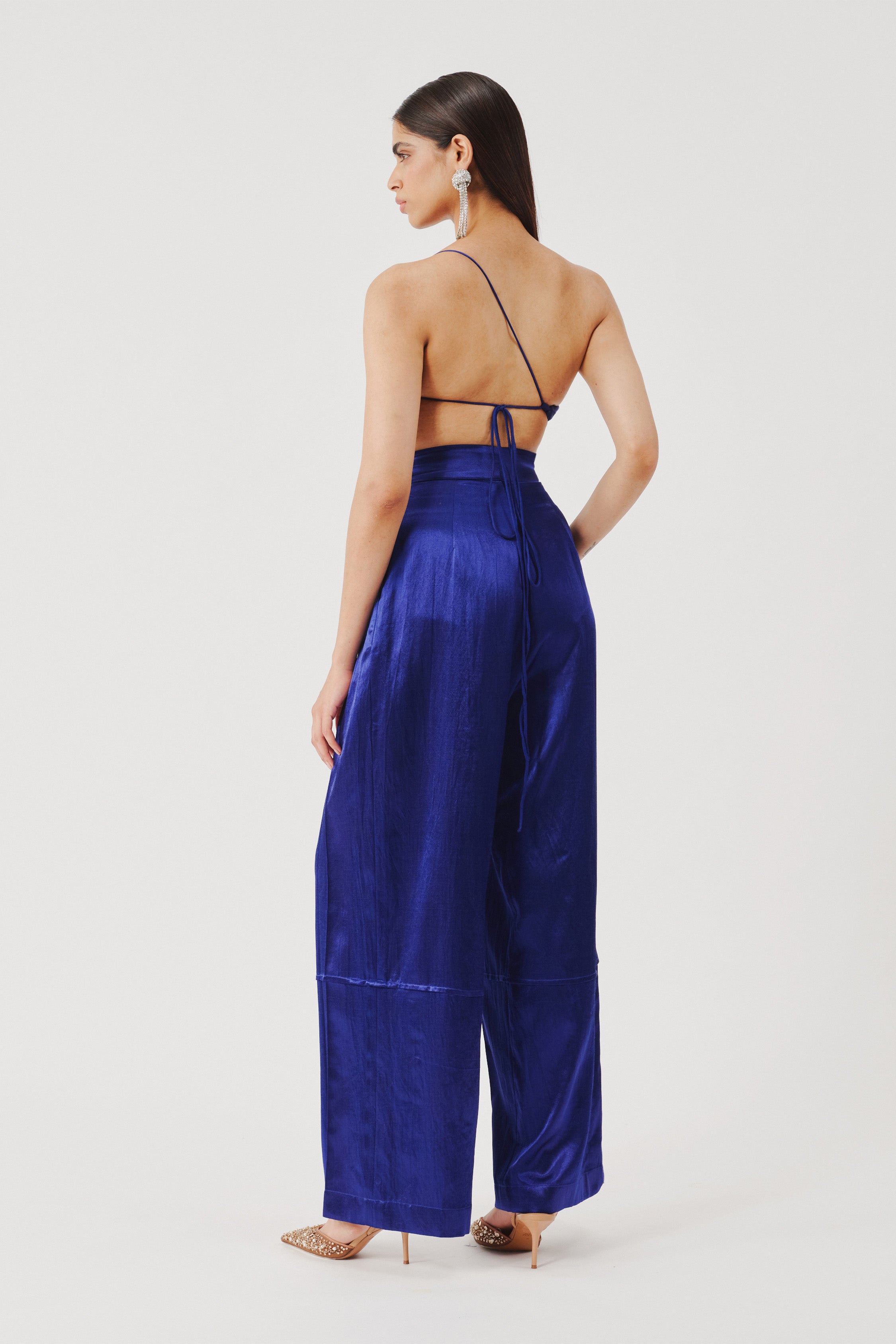 Boulevard Pleated Pants in Blue