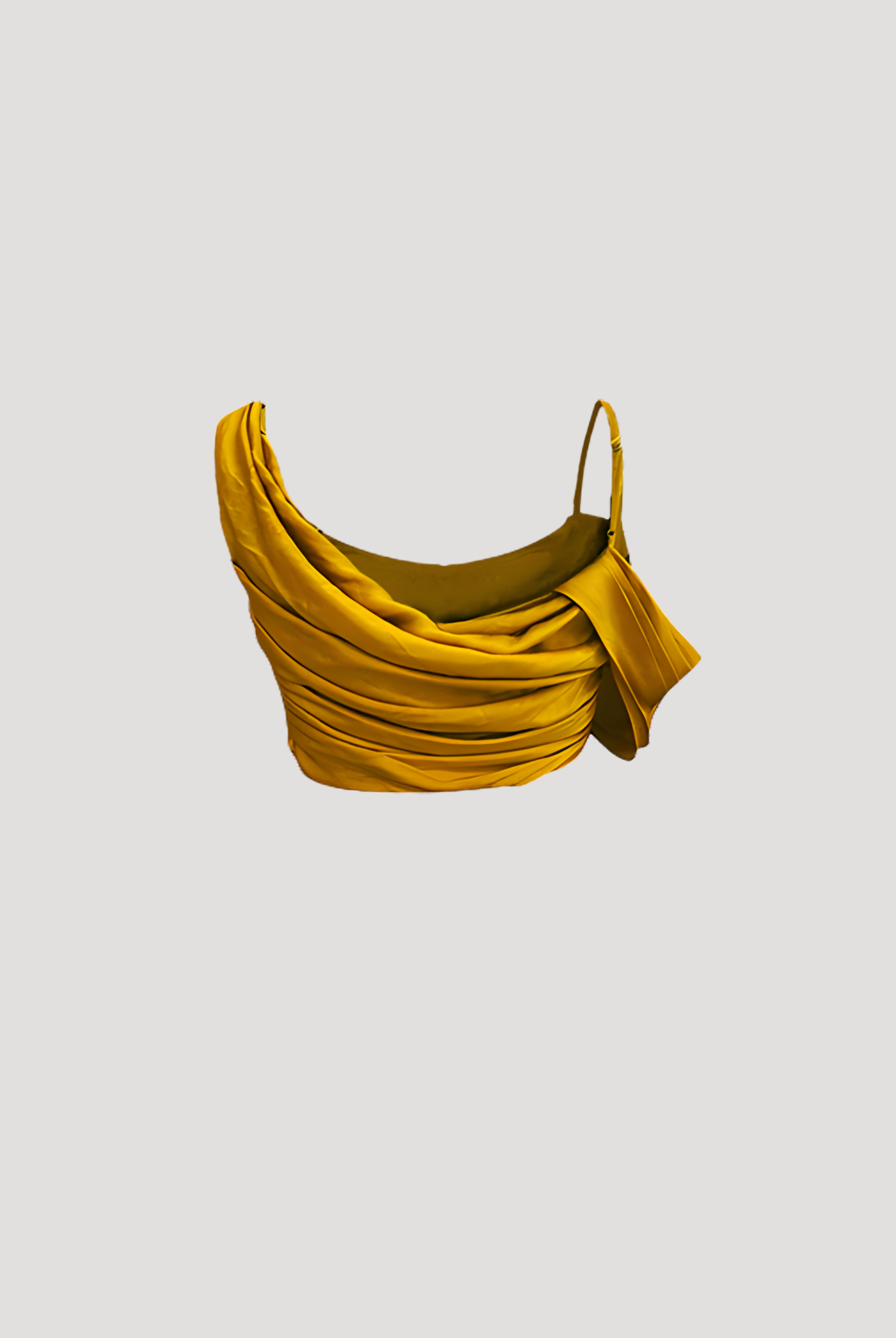 Honey Cropped Top with Detachable Sleeve