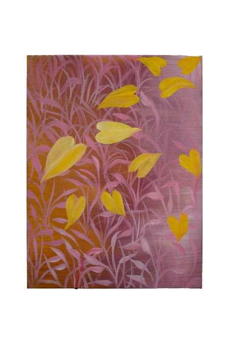 Tender wind over pink grass